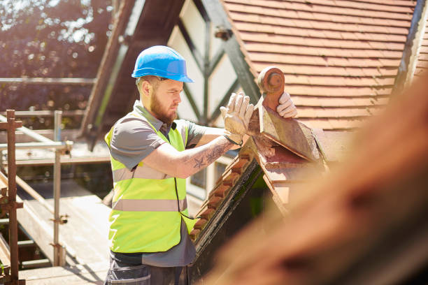 Best Roof Gutter Cleaning  in Volo, IL
